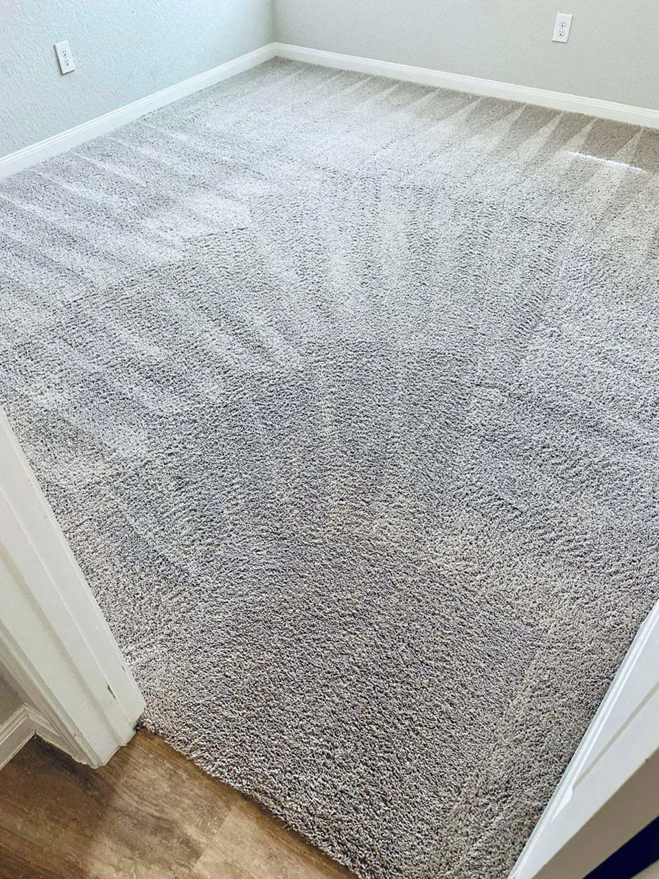 Carpet Cleaning After