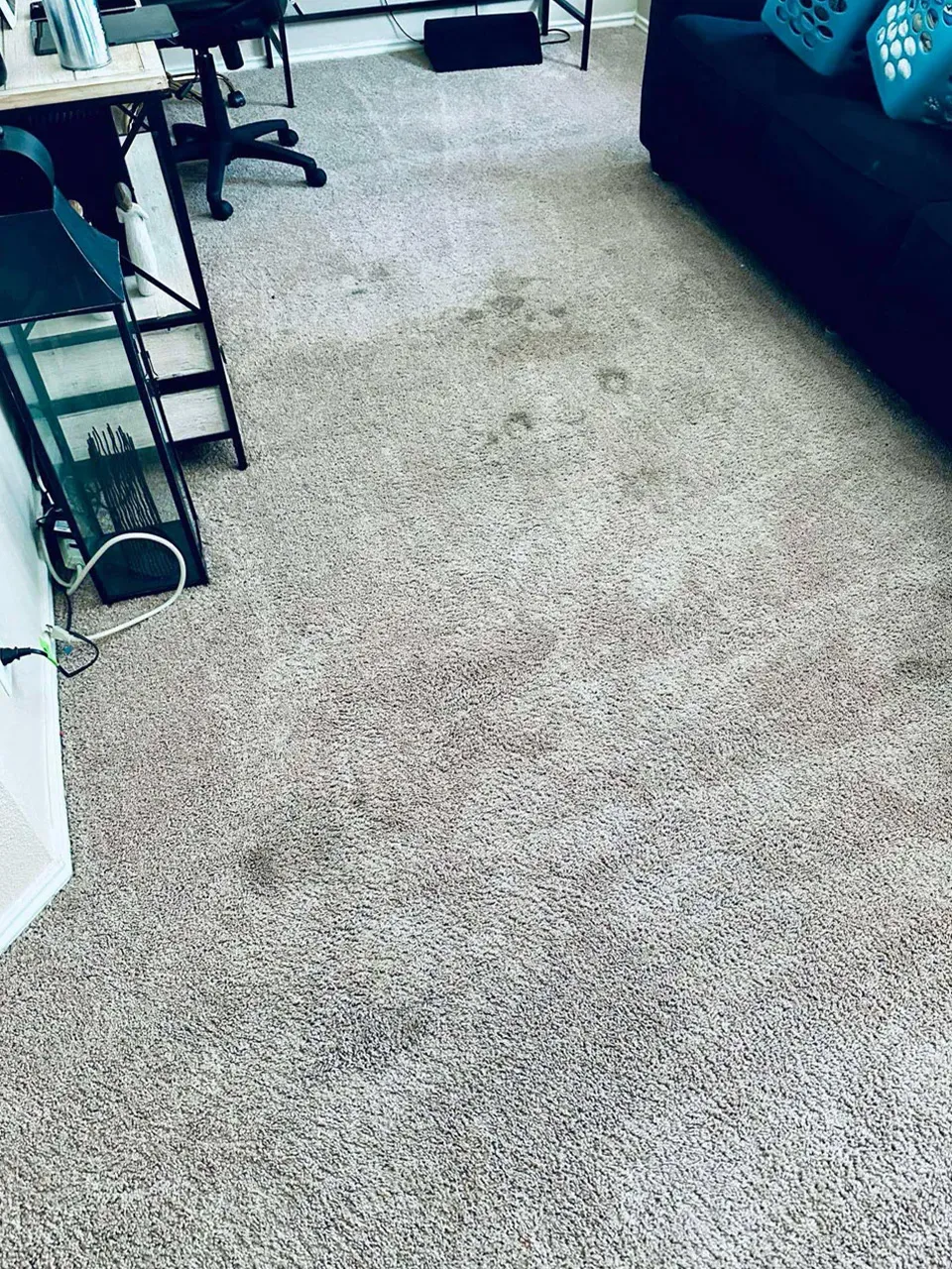 Carpet Cleaning Before