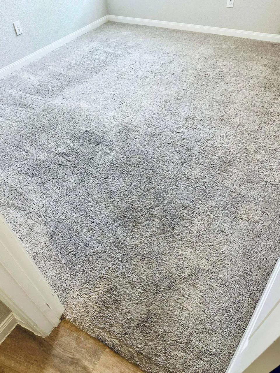 Carpet Cleaning Before