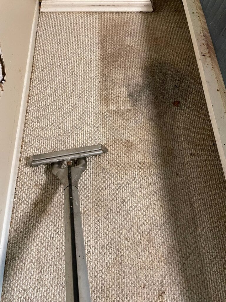 Carpet Cleaning Service in Ventura, CA and the entire Ventura County. Call today for a free quote!